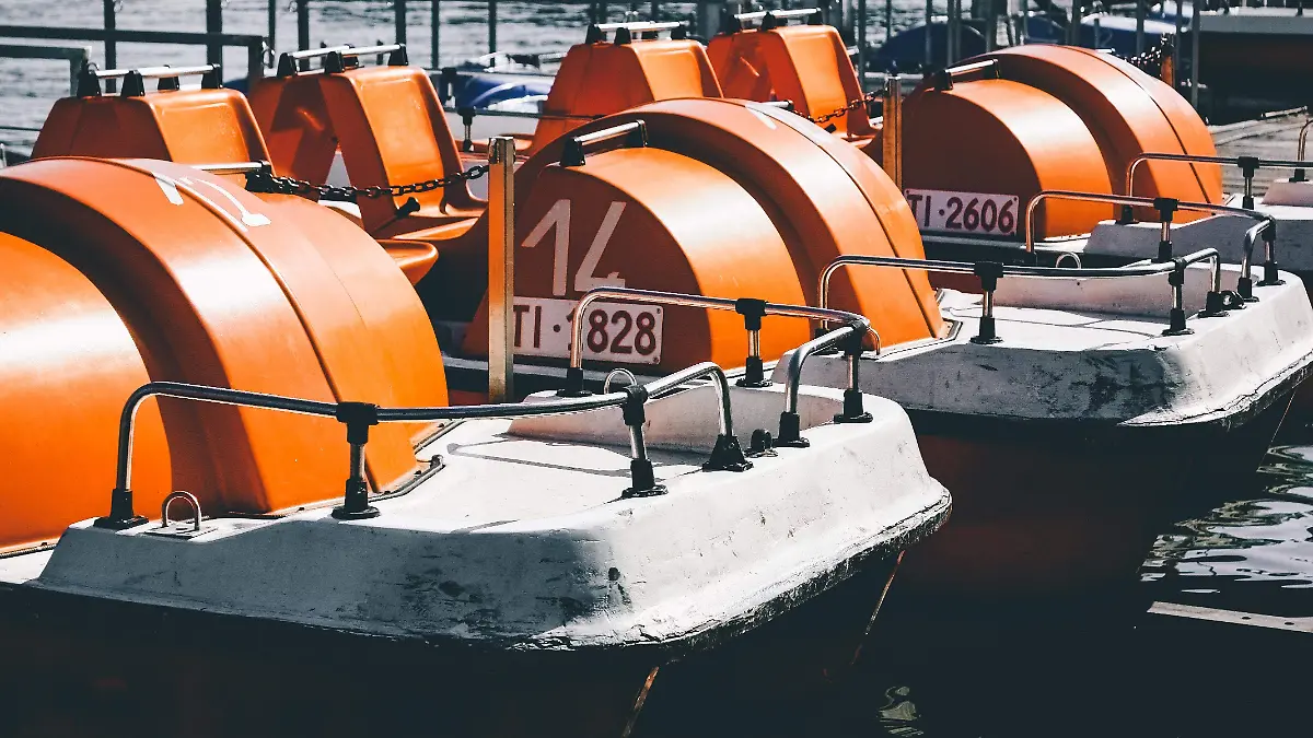 pexels-oleg-magni-4200892