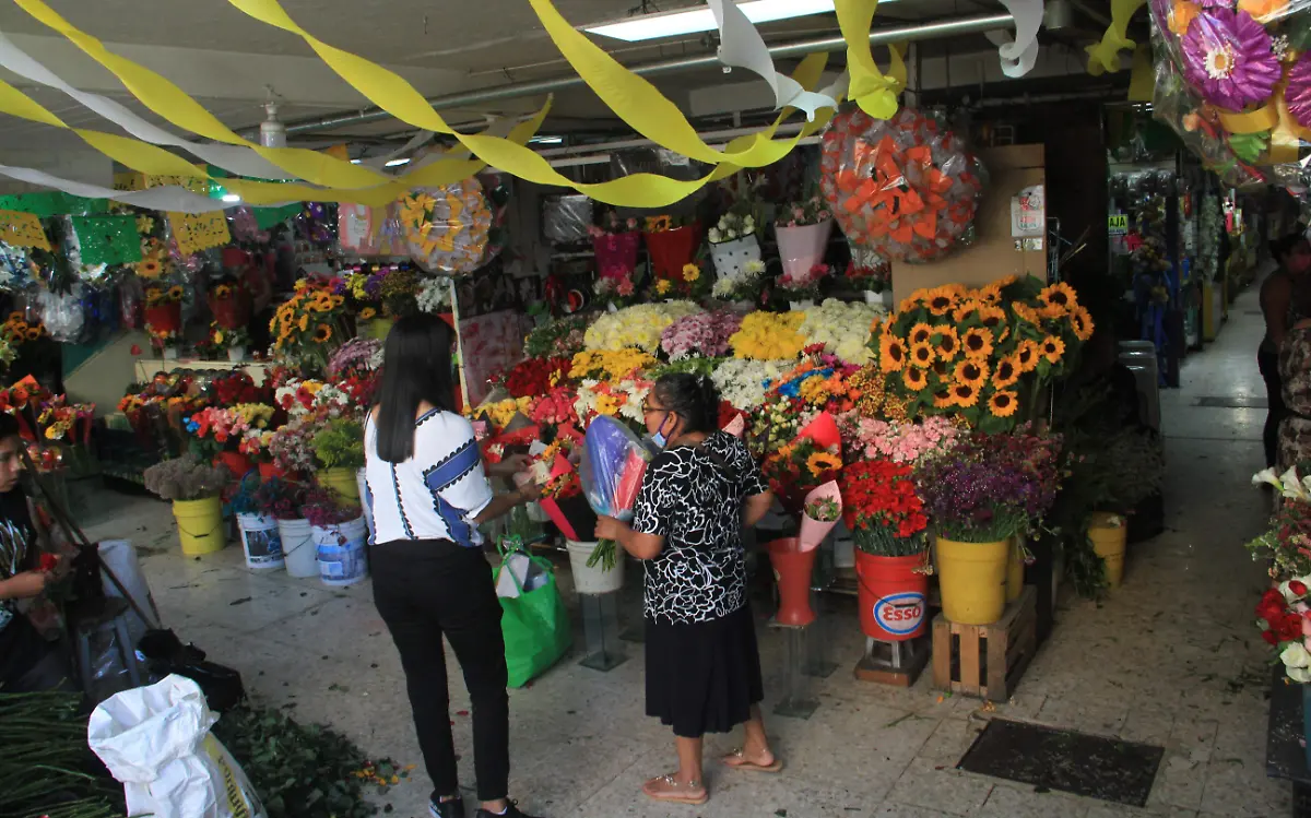 romero09052022001 buscando flores