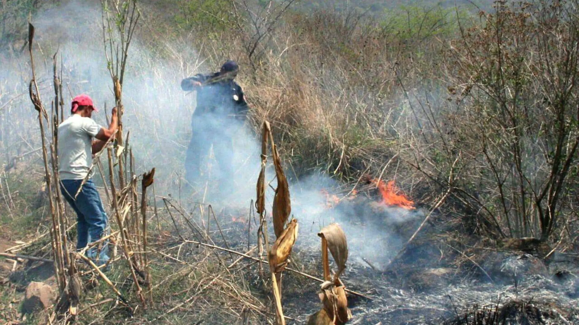 incendios