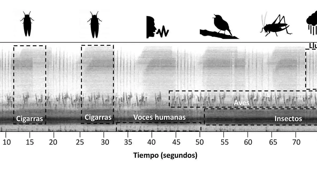 ciencia
