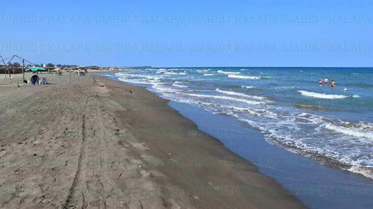 Chachalacas3