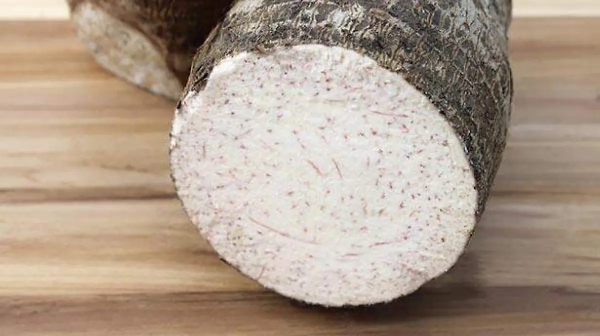 malanga-lila-detail-page-large