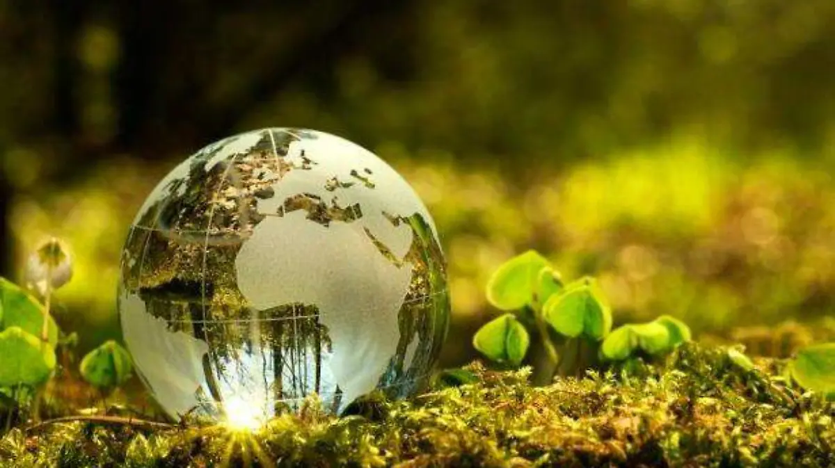 Medio-ambiente-e1537401569969