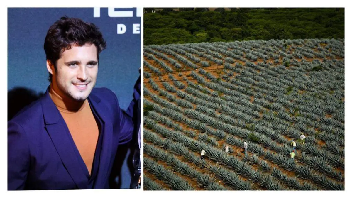 Diego Boneta lanzará su tequila