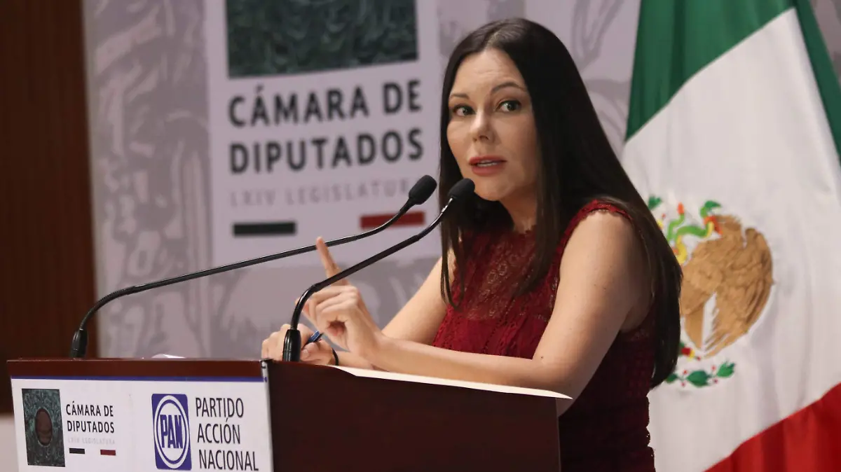 LAURA ROJAS-roberto hernandez (1)