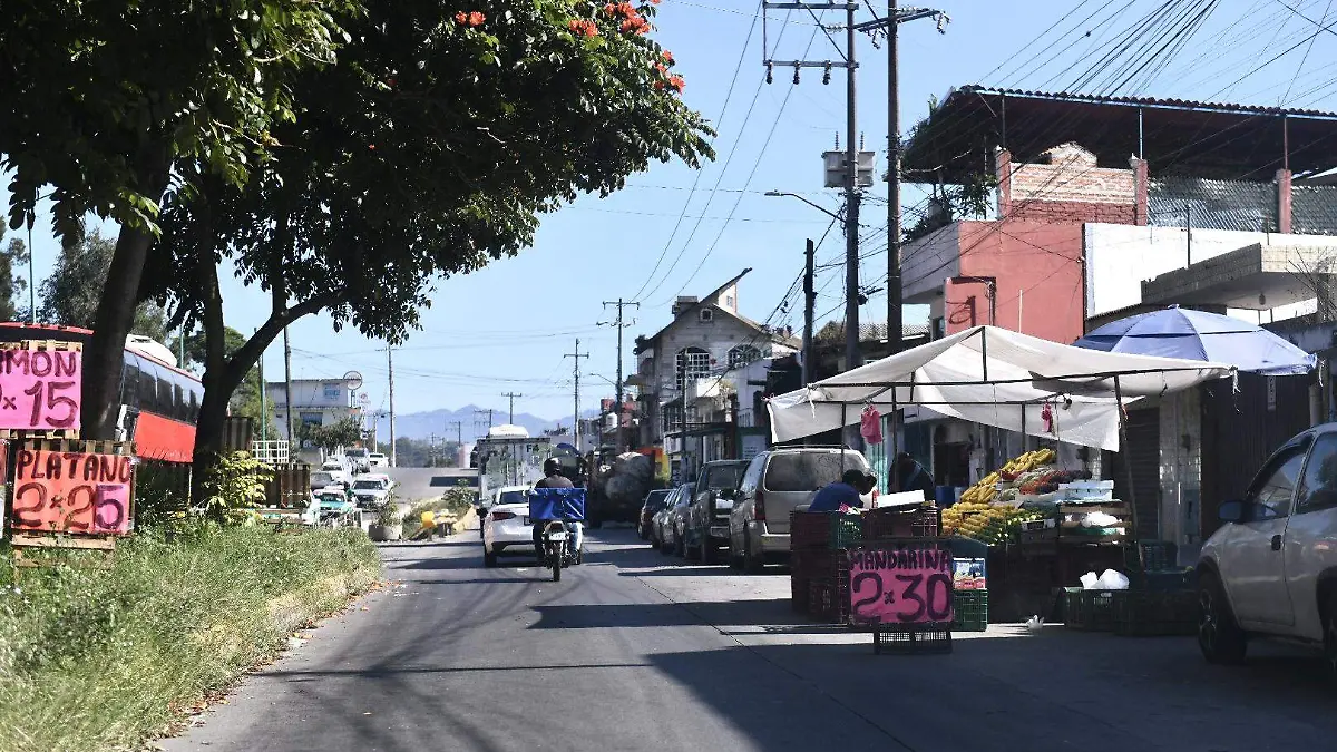 RENÉ-NEGOCIOS REVO (11)