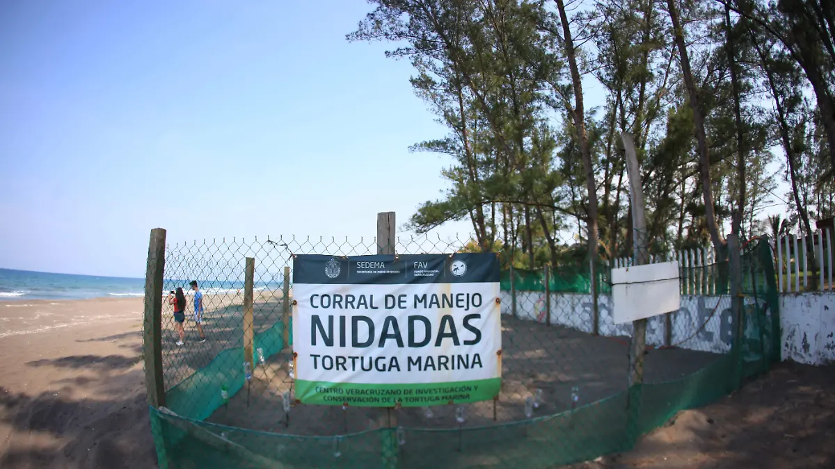 RENE-TORTUGAS