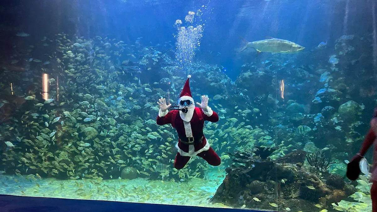 WhatsApp Image 2024-12-24 at 1.11.52 PM