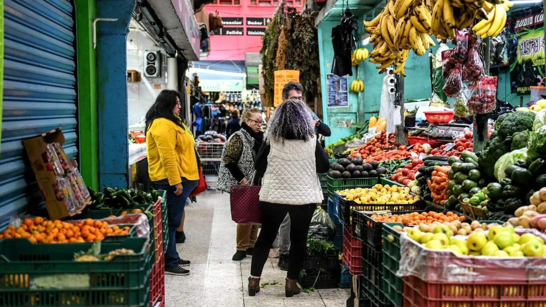 RENE-COMPRAS