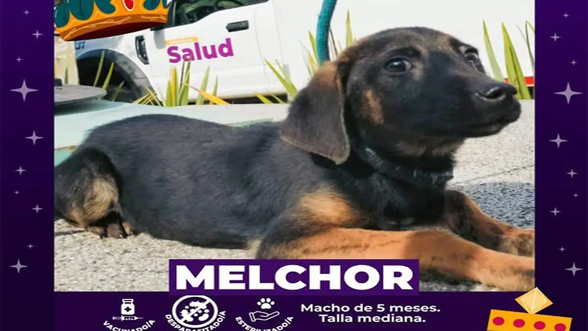 Melchor