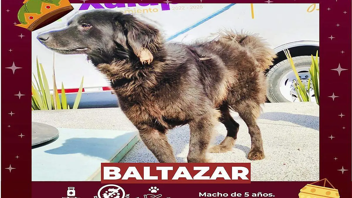 Baltazar