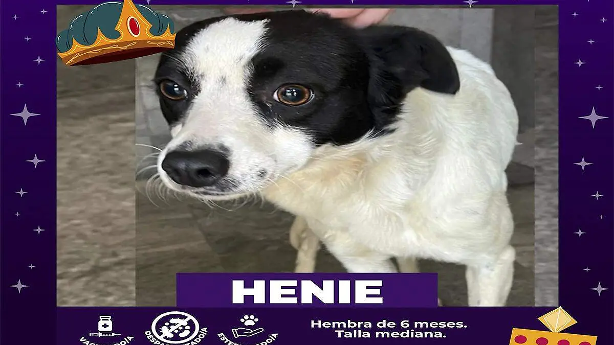 Henie