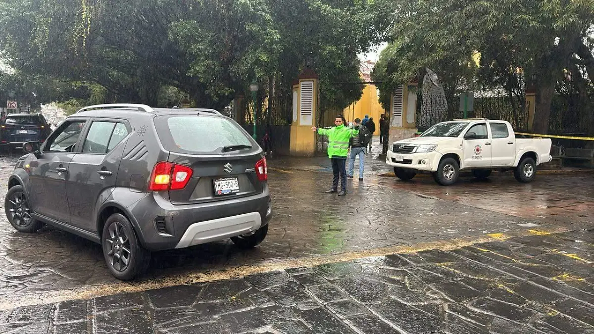 Cae árbol en calle de la zona centro del municipio de Coatepec