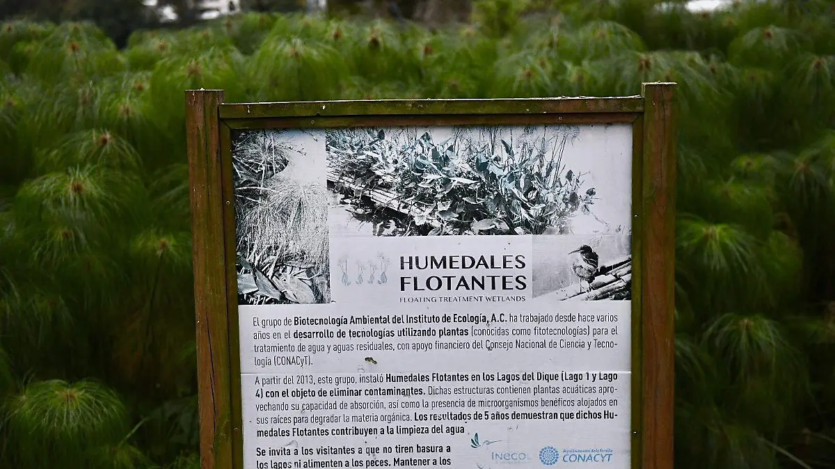 Paseo Los Lagos Xalapa