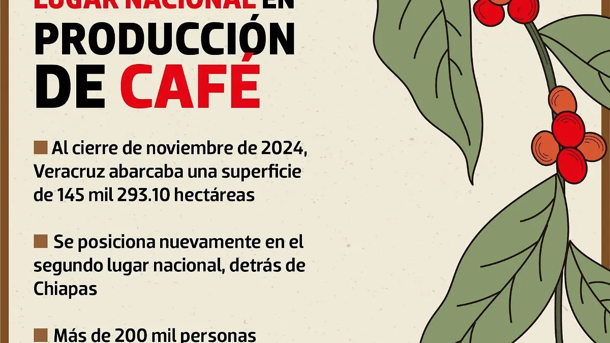 infografía café