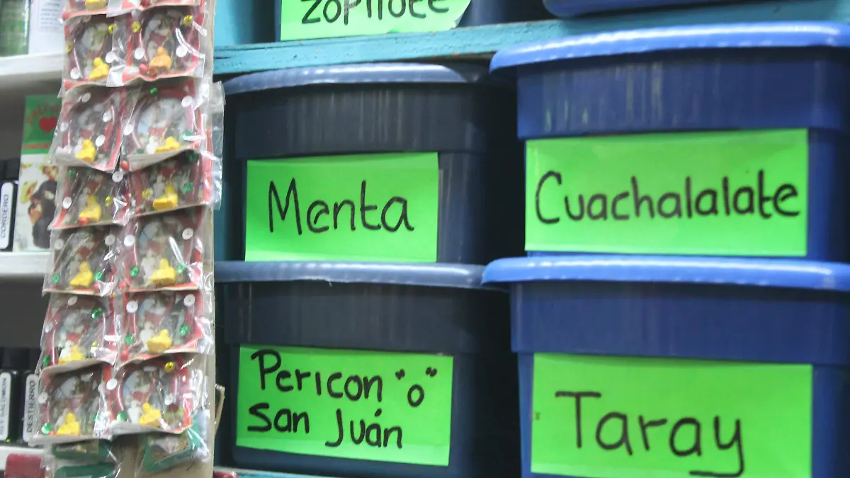 Hierbas para enfermedades respiratorias