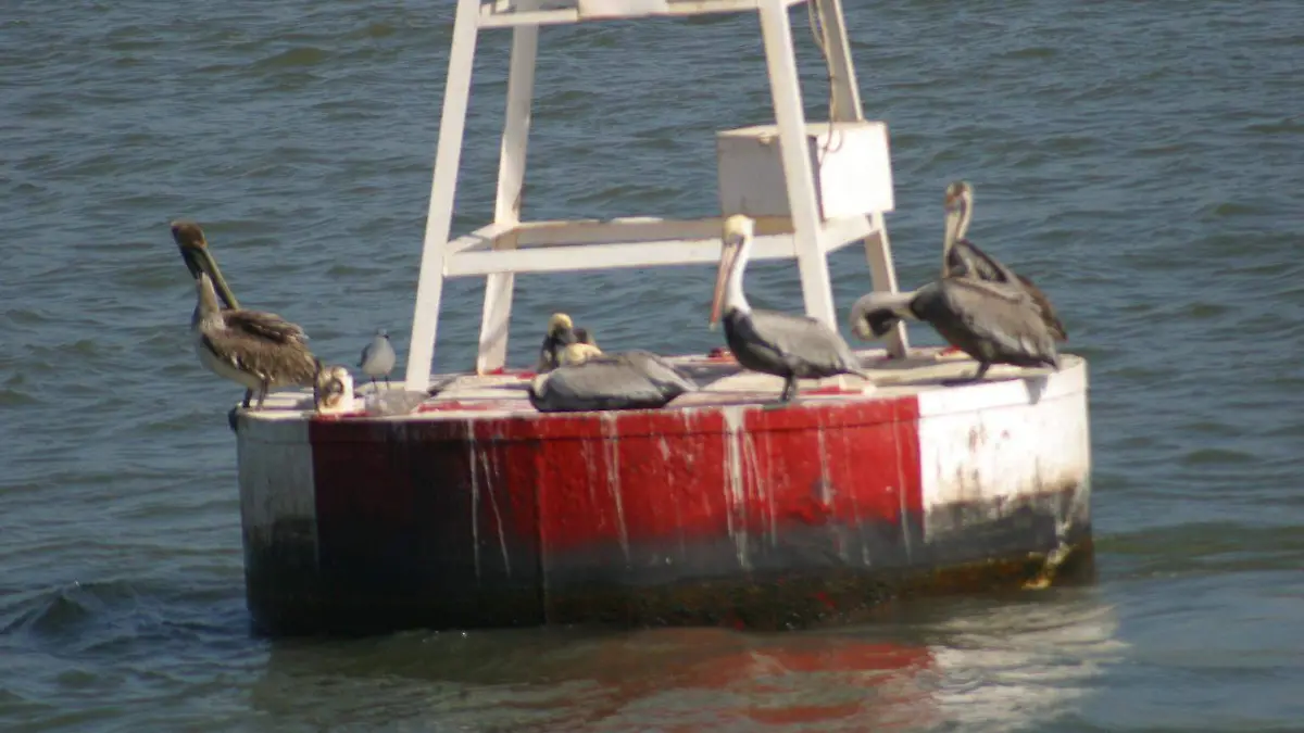 Complejo Petroquímico Cangrejera