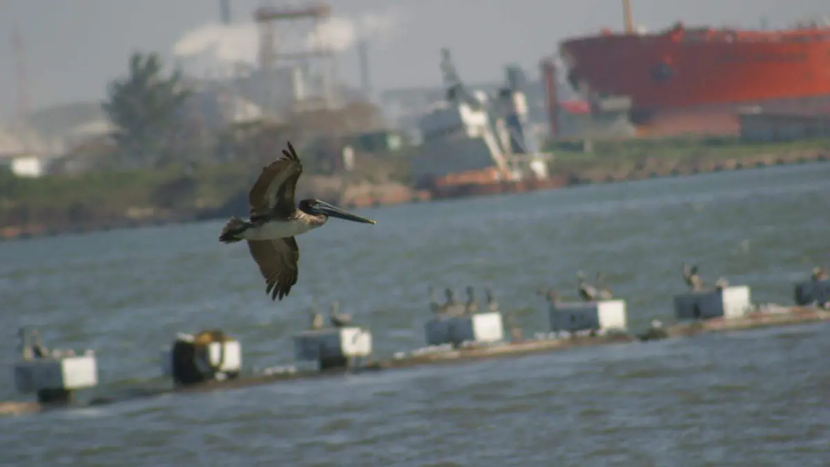 Complejo Petroquímico Cangrejera