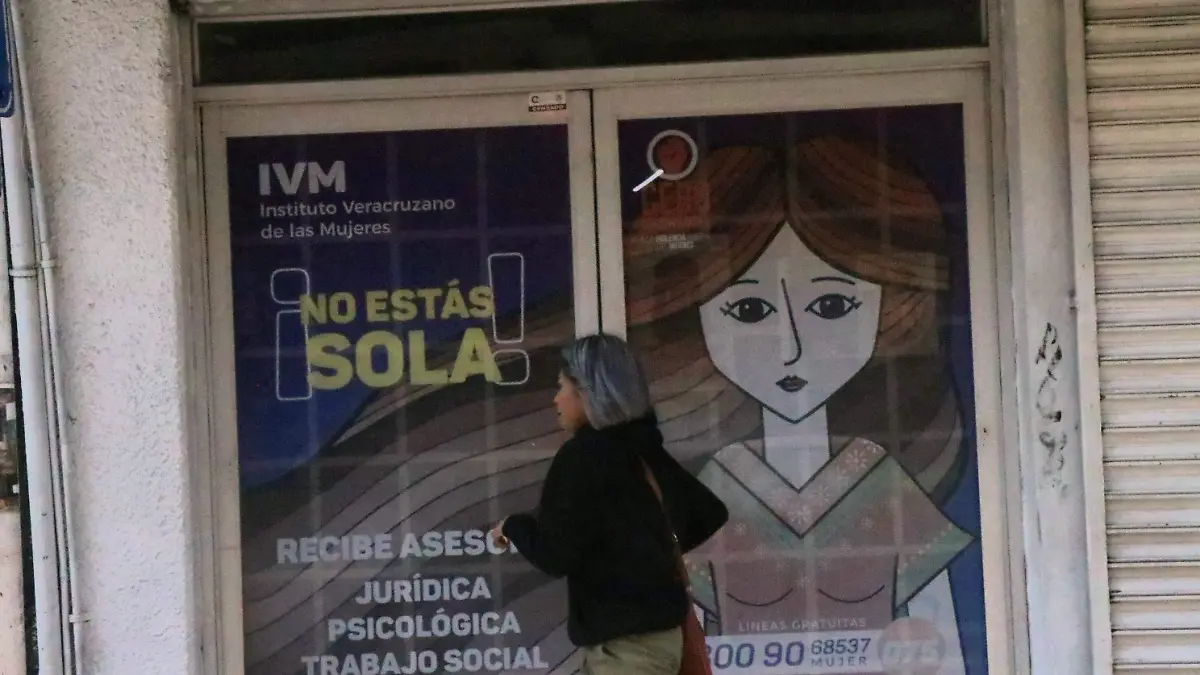 david- Instituto Veracruzano de la Mujer9