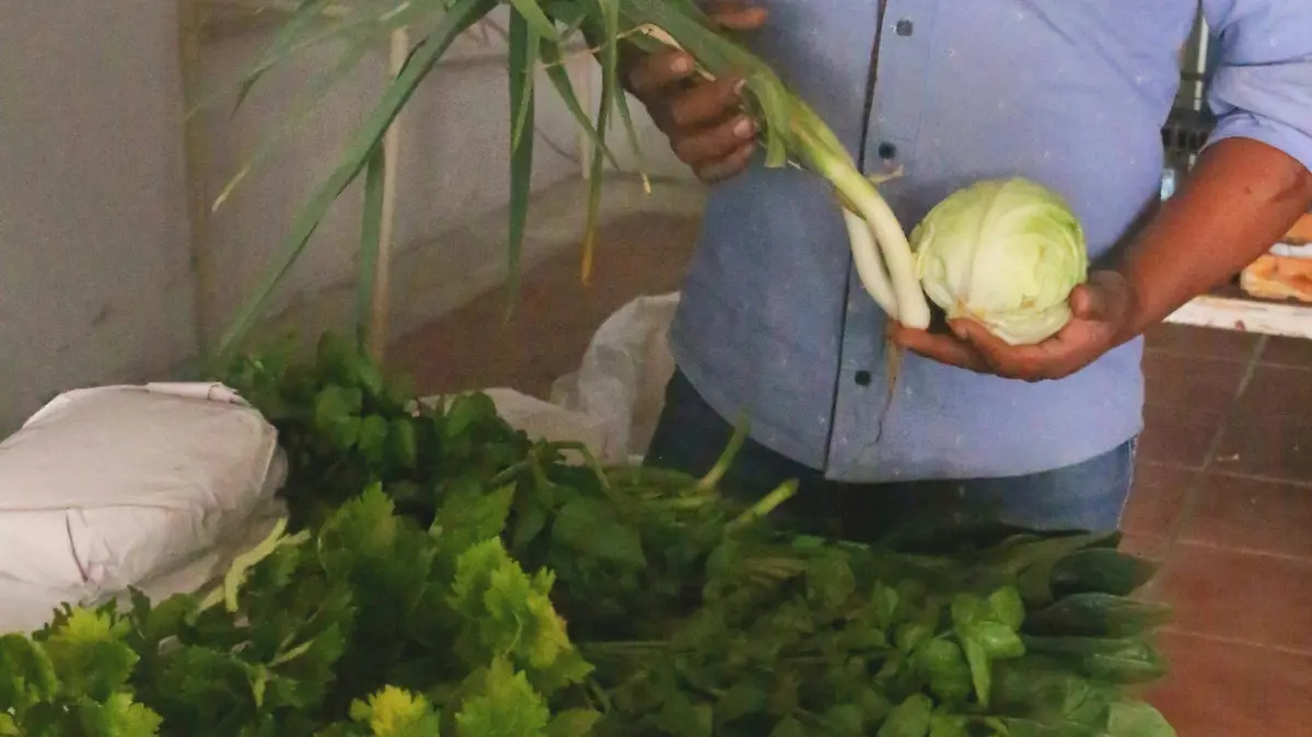 Alimentos Saludables