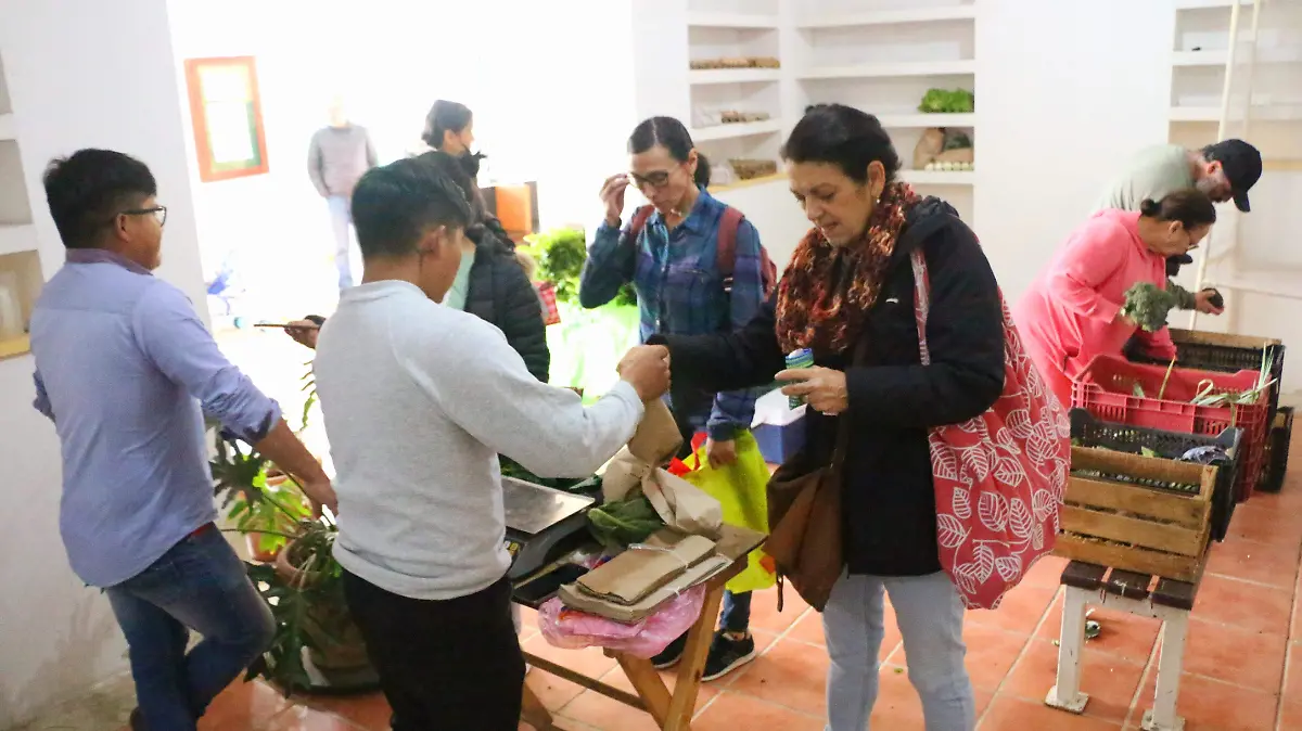 Alimentos Saludables