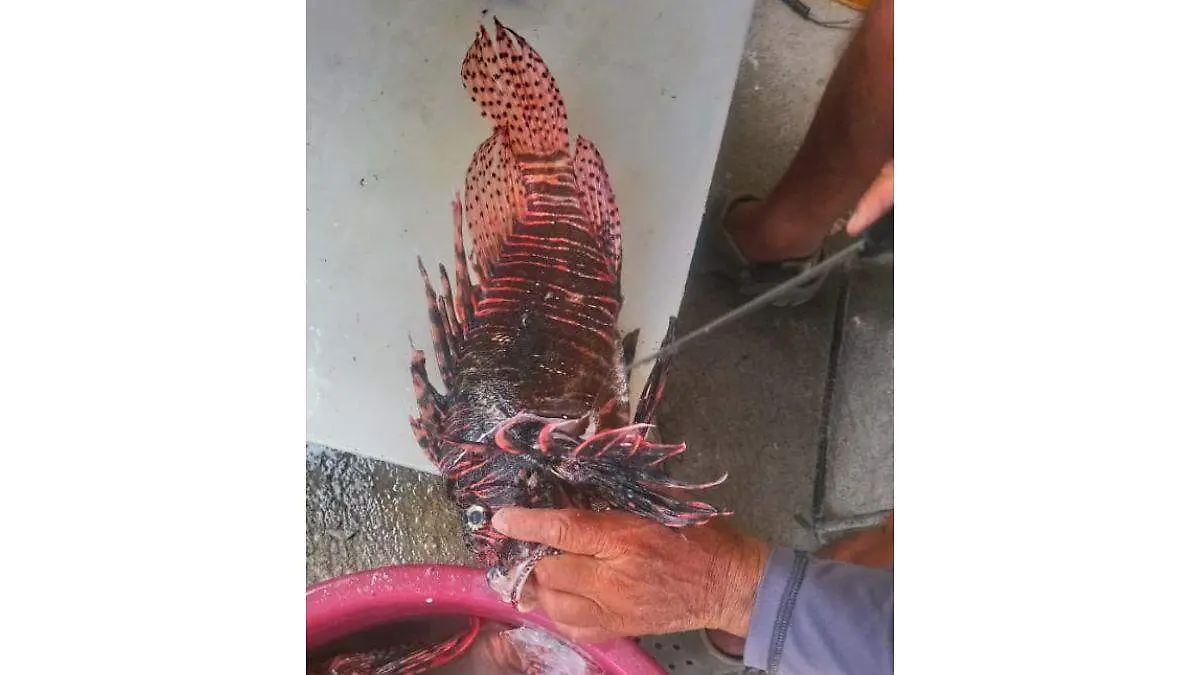 Fredy Sosa Susunaga pescador