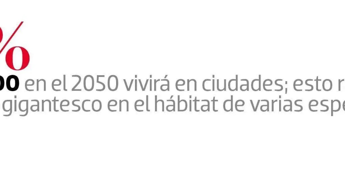 frase