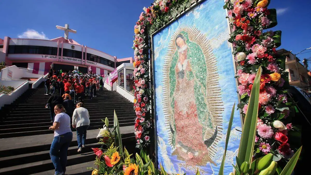 WhatsApp Image 2024-12-05 at 13.39.08