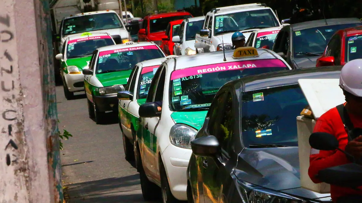 david- Taxis2325 (1)