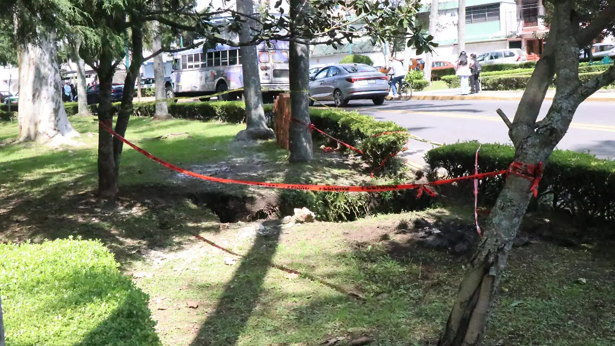 Socavón en el parque de Los Berros 