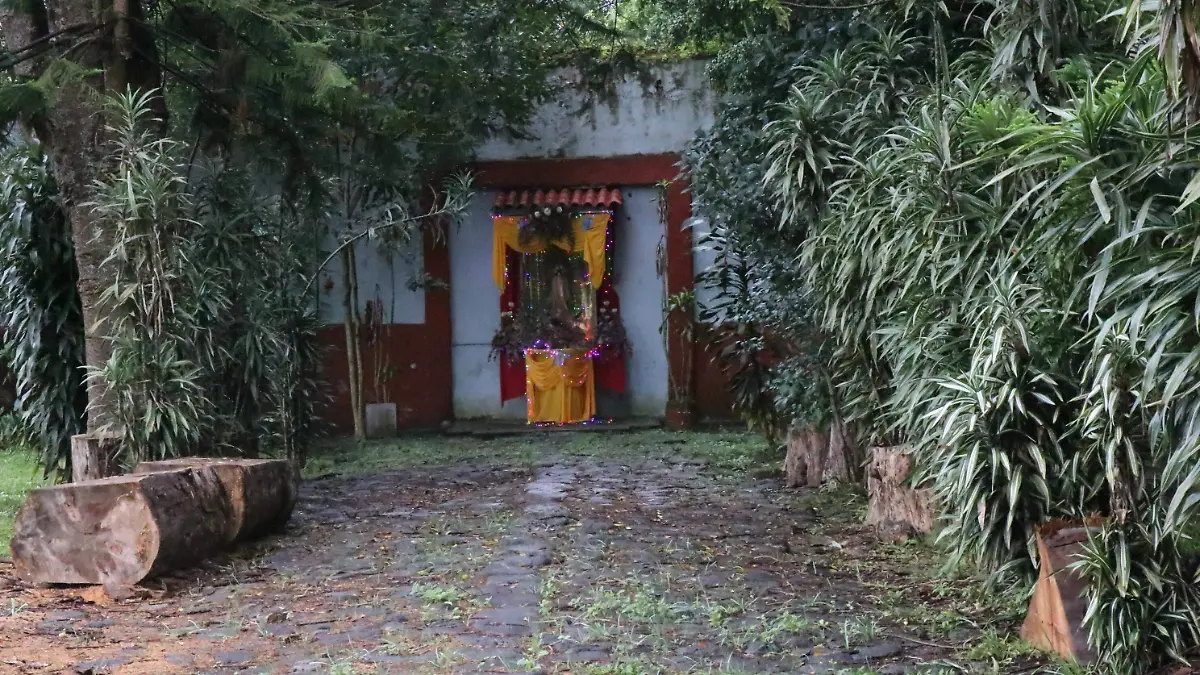 david- Hacienda San Bruno684