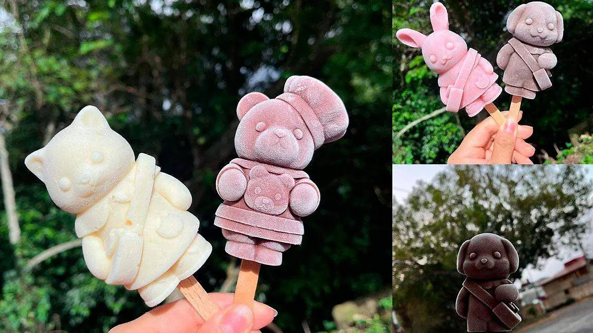 Paletas-de-Ternurin-en-Xalapa
