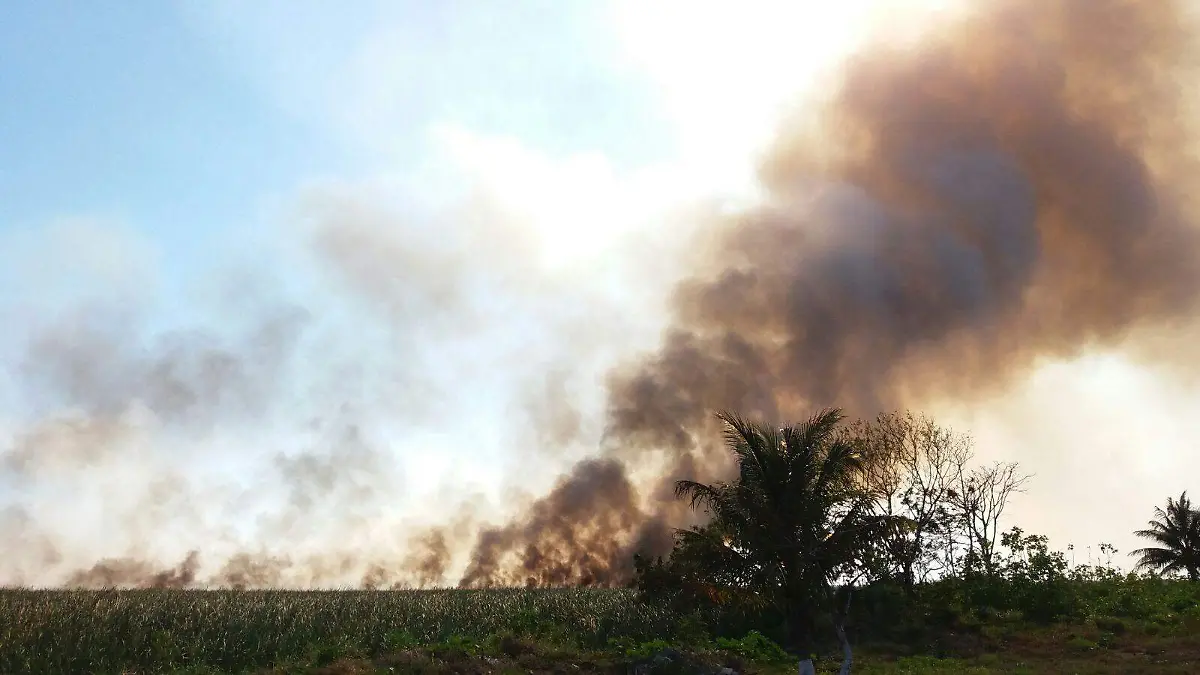 Incendio en pastizales