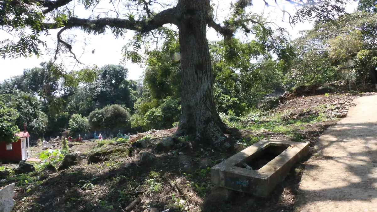 Forense | Fosas clandestinas