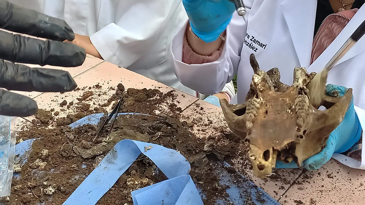 Forense | Fosas clandestinas