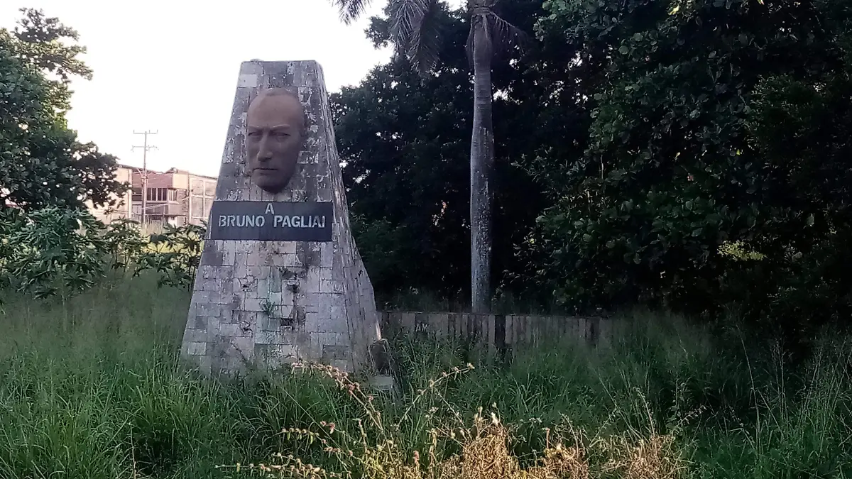 1000685082