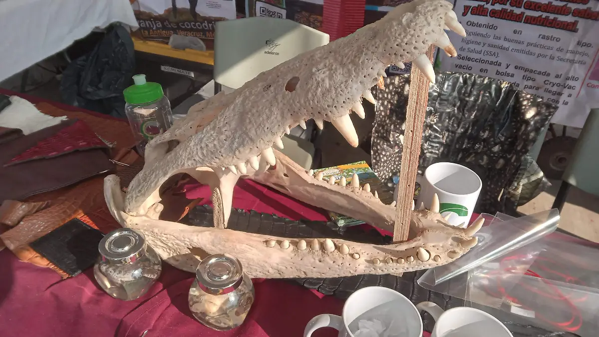 Cocodrilario el colibrí