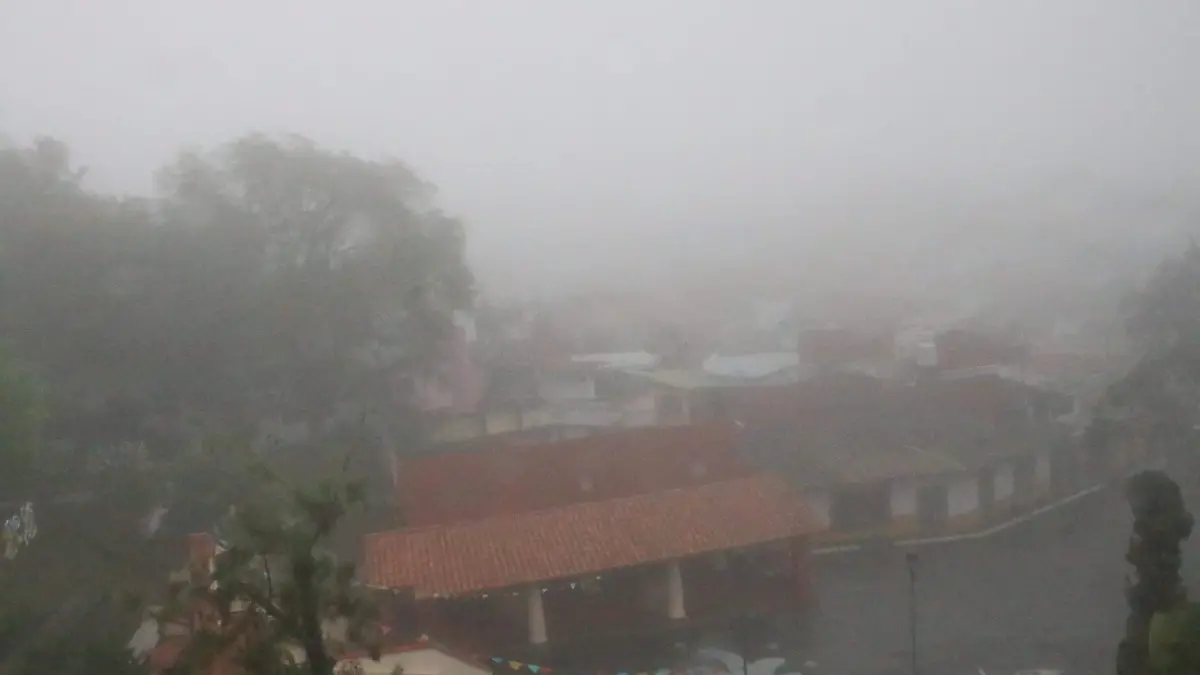 Neblina