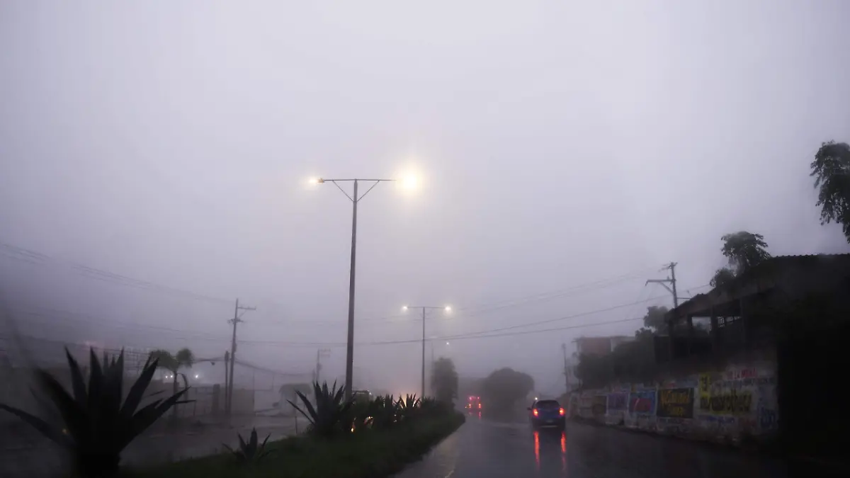 Neblina