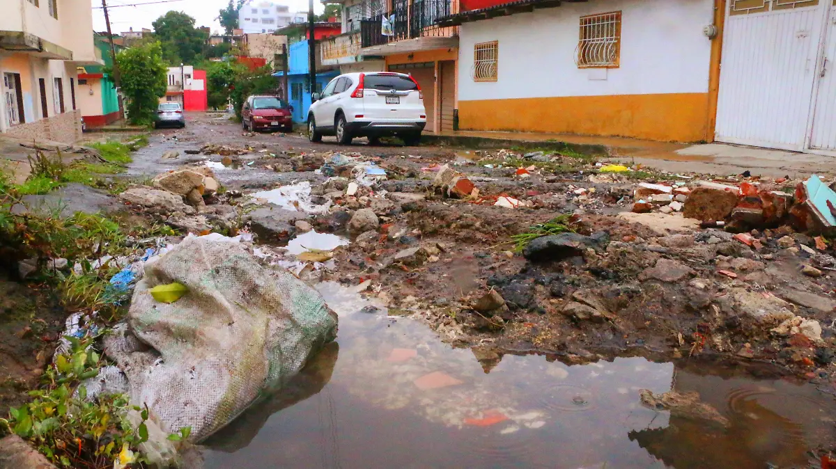 david- Ecoansiedad_2564