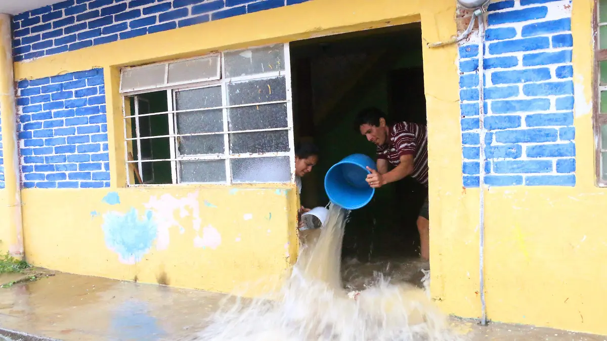 david- Ecoansiedad511-1