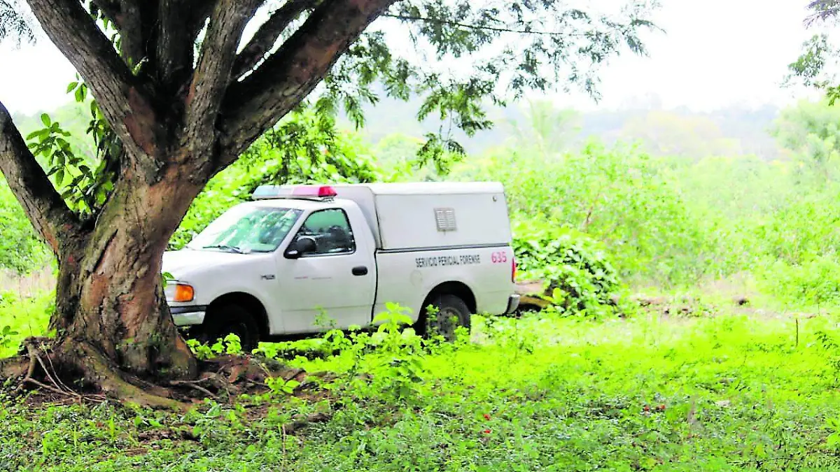 Localizan restos humanos en localidad de Hueyapan de Ocampo