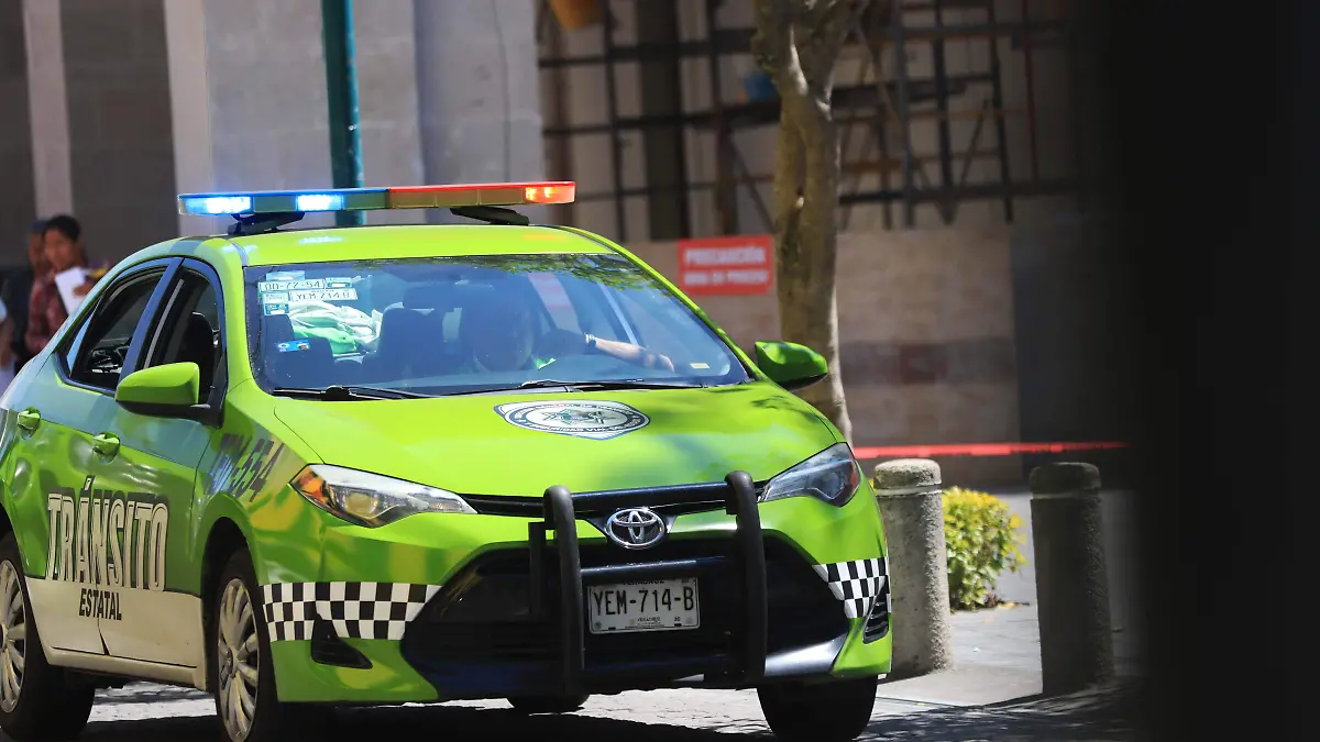 Policia Policiaca (9)