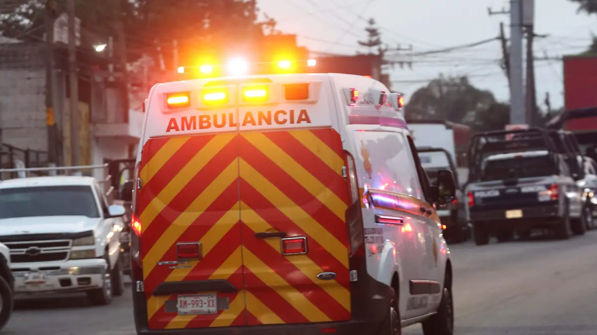 Policia Policiaca (10)