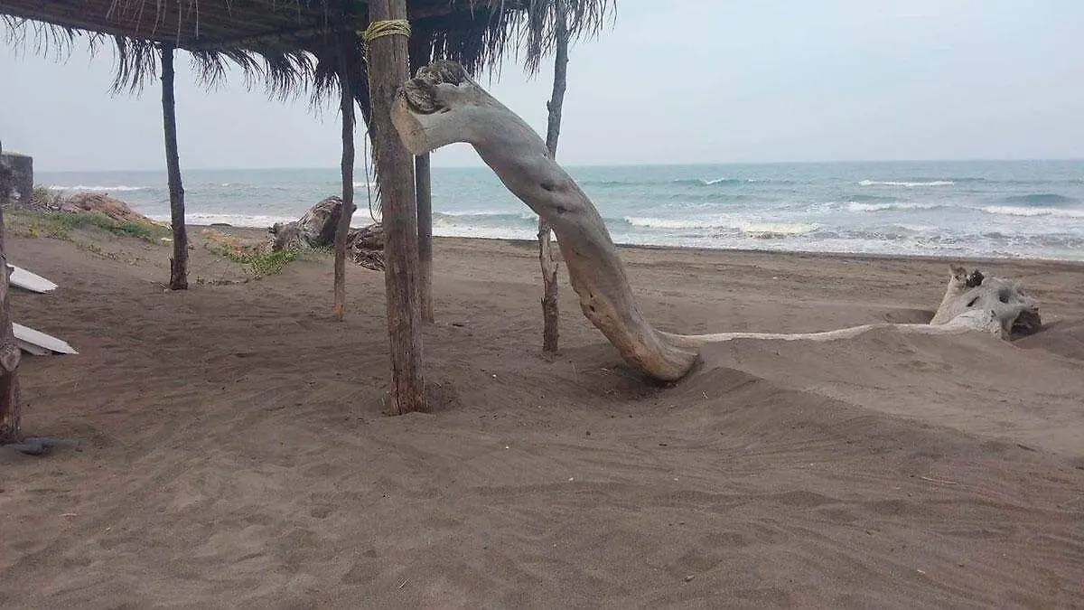 Comparan-playas-de-Veracruz-con-playas-del-Caribe-3