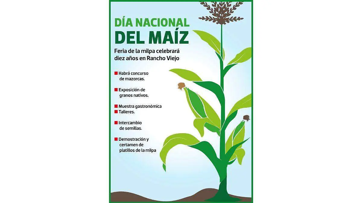 Día Nacional del Maíz