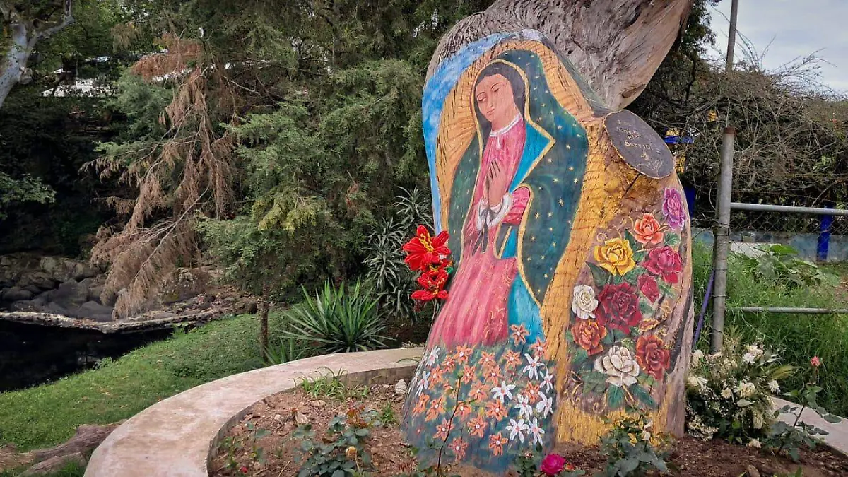 Haya en colonia Ampliación 21 de Marzo