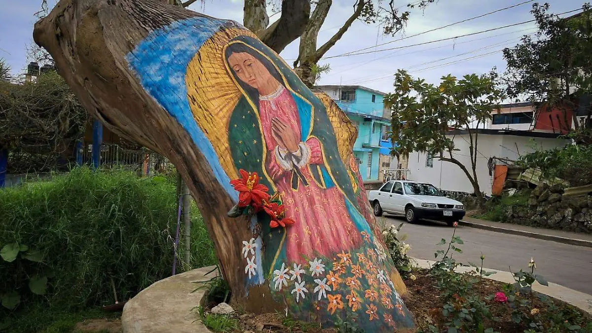 Haya en colonia Ampliación 21 de Marzo