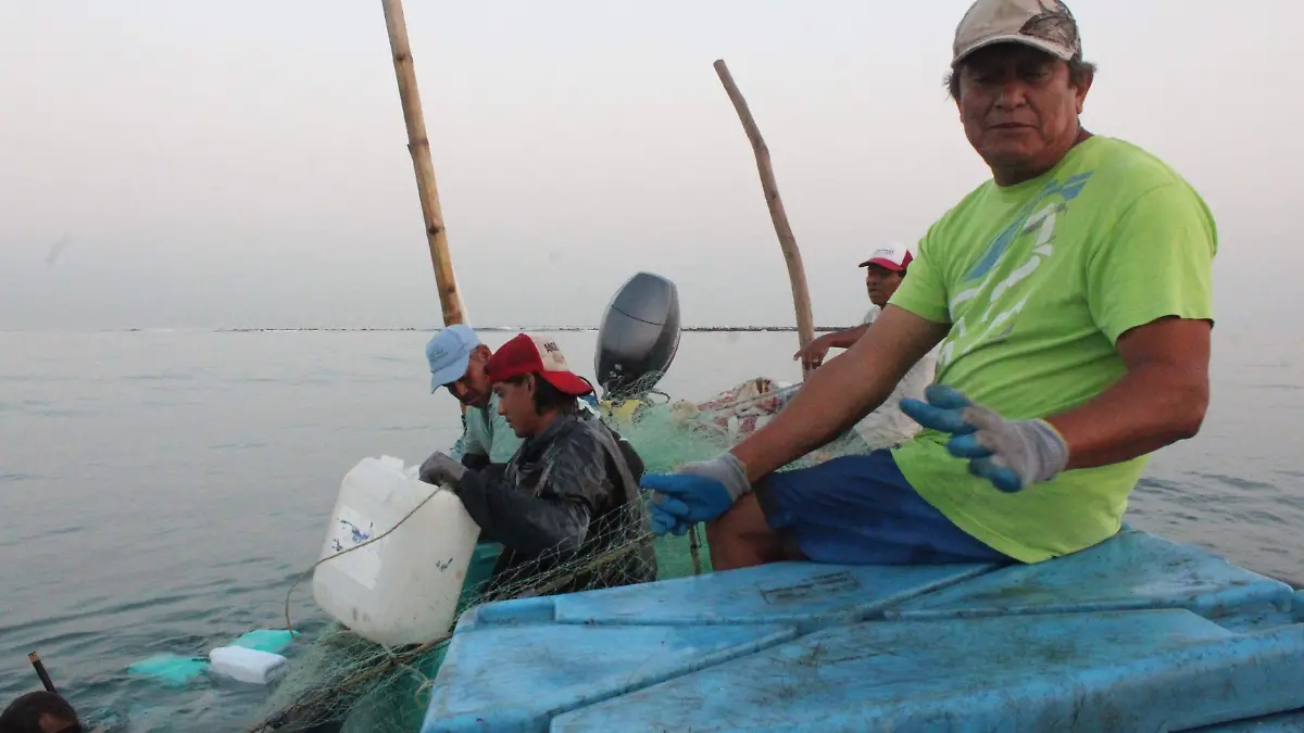 Bernardo Hernández Guzmán