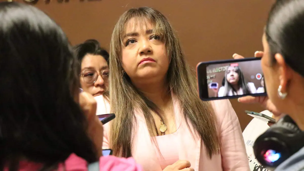 david- Marisol Delgadillo Morales